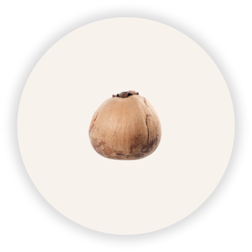 Bola maduro