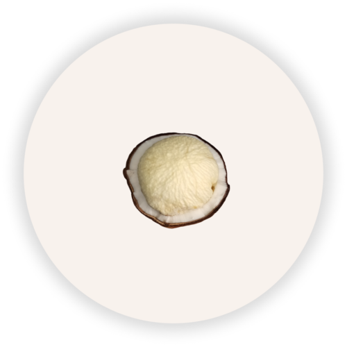 Manzana de coco Manzana de coco