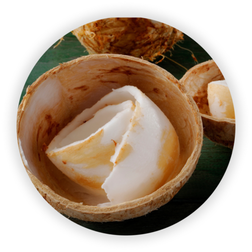 prudctos-hechos-con-cocos-2